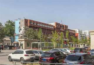 国际特品聚维酮销售厂家